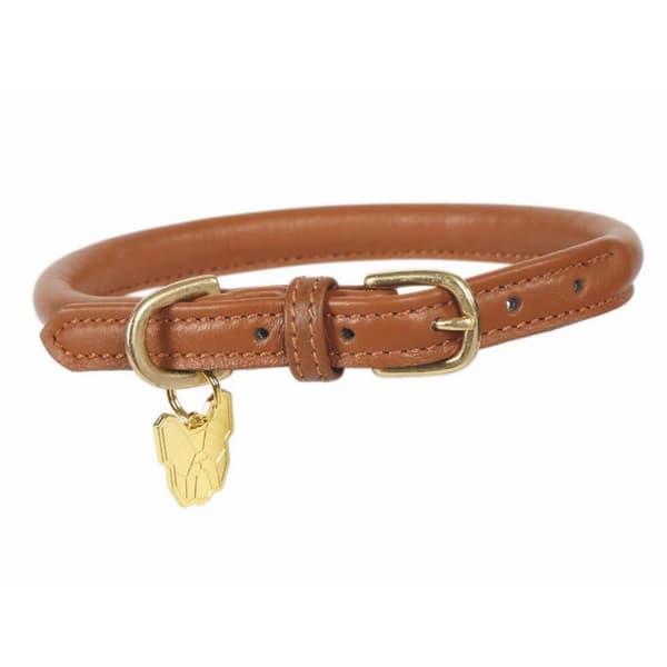 Digby & Fox Rolled Leather Buckle Dog Collar