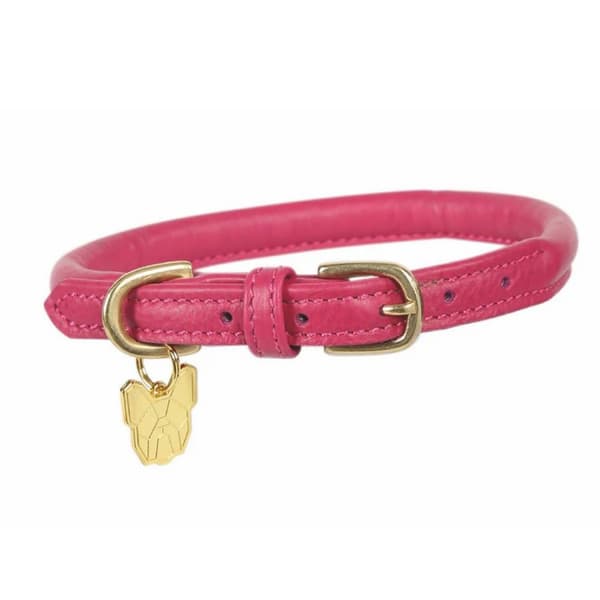 Digby & Fox Rolled Leather Buckle Dog Collar