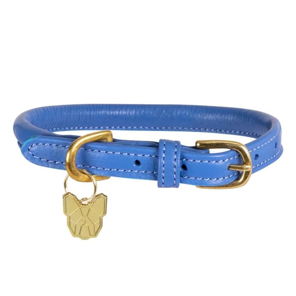 Digby & Fox Rolled Leather Buckle Dog Collar Royal Blue M - Neckline: 41cm-46cm