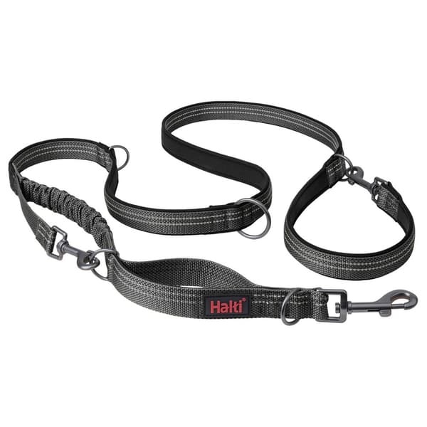 Halti Anatomy Hundlina Grey L