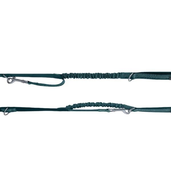 Halti Anatomy Dog Lead