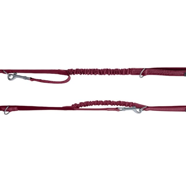 Halti Anatomy Dog Lead