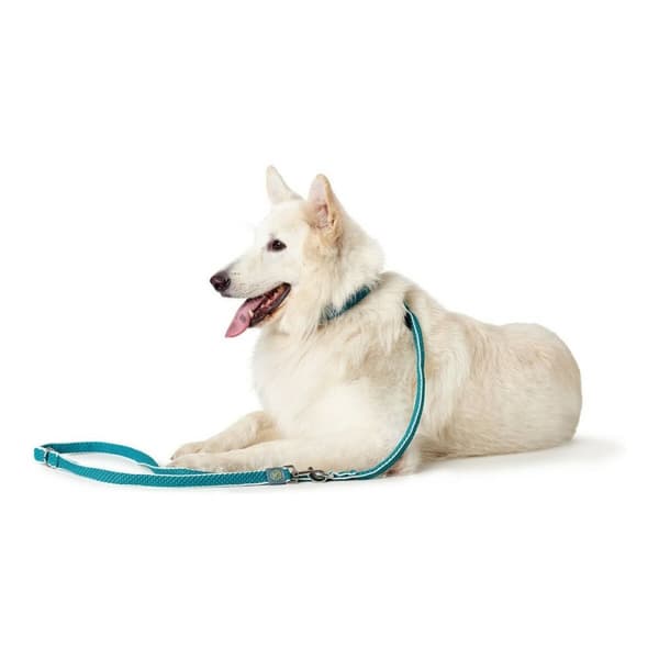 DoHundkoppel Hunter HILO Turkos 200 cm
