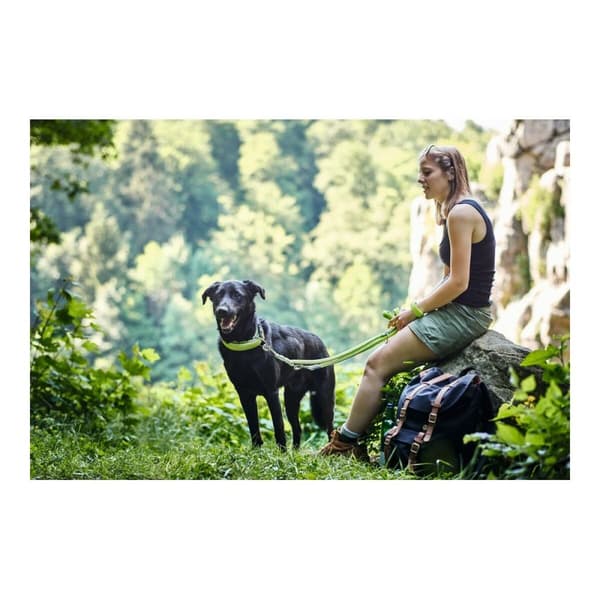 DoHundkoppel Hunter HILO Turkos 200 cm