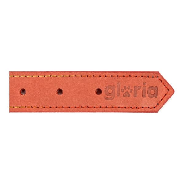 Hundhalsband Gloria Oasis Röd (1,5 x 40 cm)