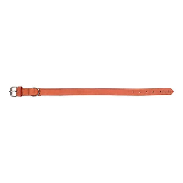 Hundhalsband Gloria Oasis Röd (1,5 x 40 cm)