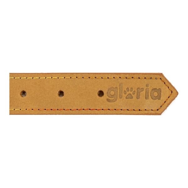 Hundhalsband Gloria Oasis Gul (1,5 x 40 cm)