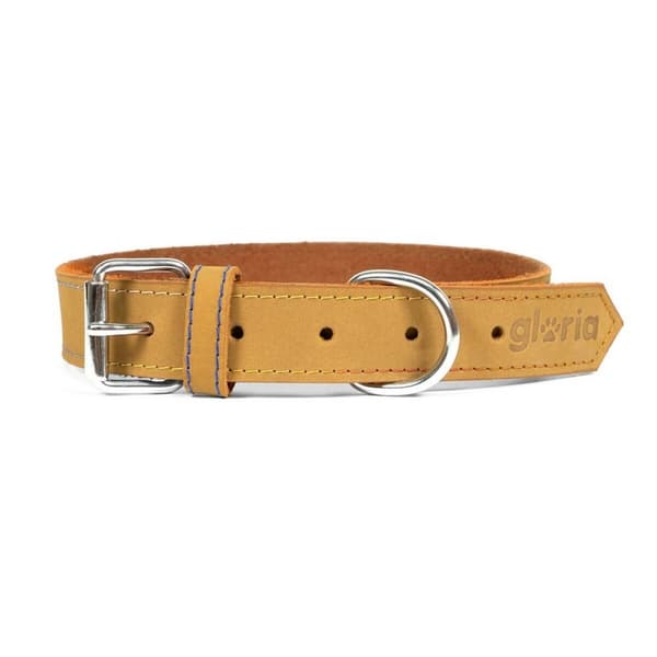 Hundhalsband Gloria Oasis Gul (1,5 x 40 cm)