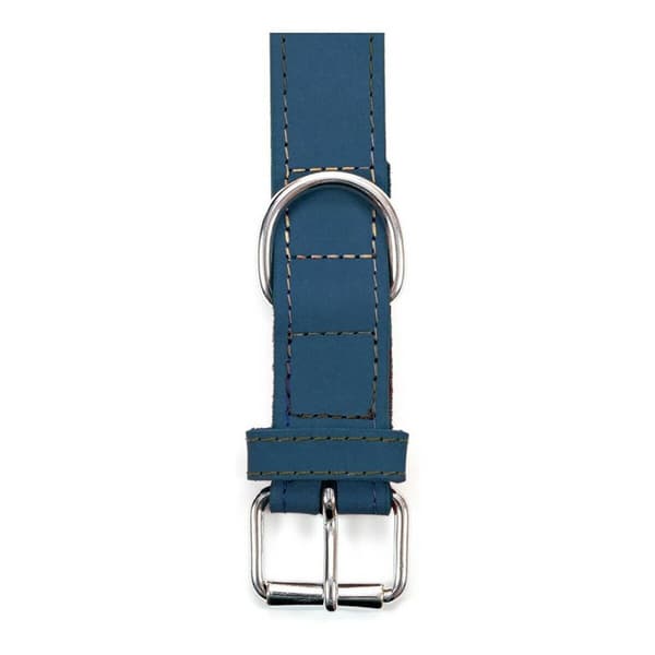 Hundhalsband Gloria Oasis Blå (1,2 x 35 cm)