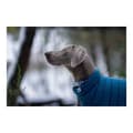 Miniatyrbild 5 av 5: Hundrock Red Dingo Puffer Turkos 50 cm