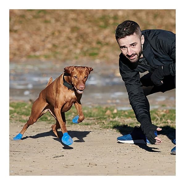 Skor Pawz Hund 12 antal Storlek XL Grön