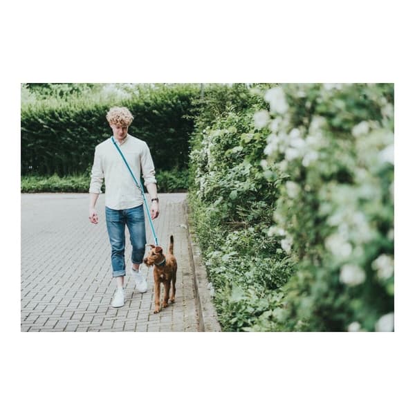 Hundebly Hunter HILO Lime (200 cm)
