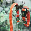Miniatyrbild 3 av 3: Hundhalsband Hunter Basic Tråd Orange Storlek M (33-50 cm)