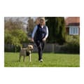 Miniatyrbillede 4 af 10: Hundesele Company of Animals Halti Størrelse S (26-36 cm)