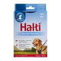 Pikkukuva 10 / 10: Koiran valjaat Company of Animals Halti Koko M (34-56 cm)