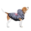 Miniatyrbillede 5 af 11: Dog Sweatshirt Marvel XXS Grå