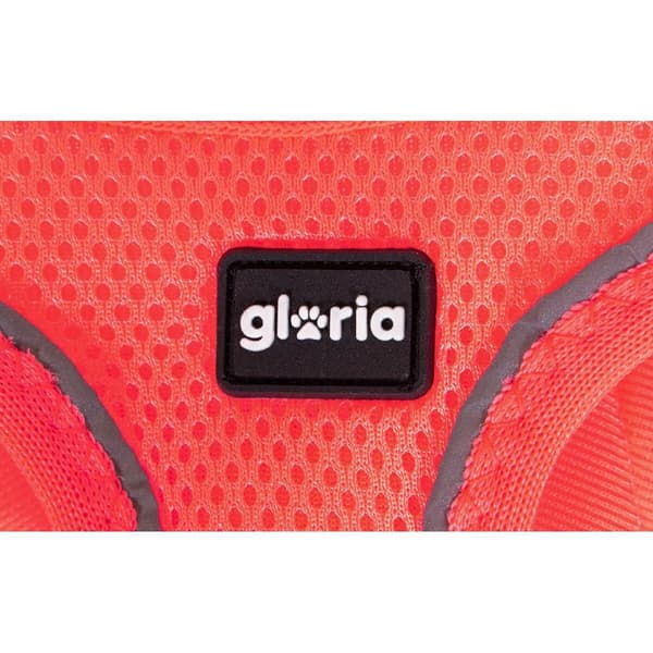 Hundsele Gloria Trek Star 29,4-32,6 cm 41,4-43 cm Rosa S