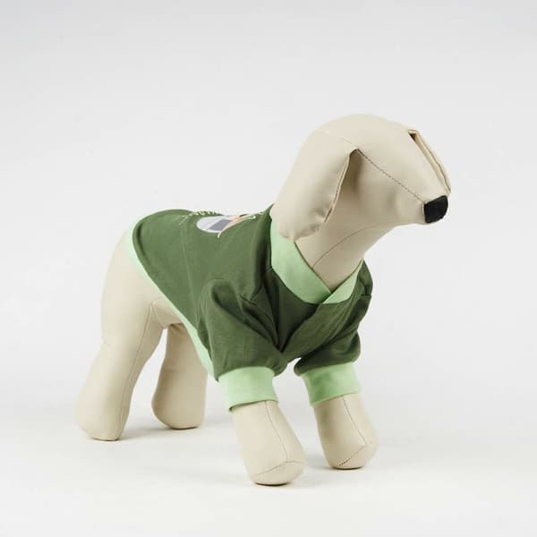 Dog Pyjamas The Mandalorian Vihreä - M