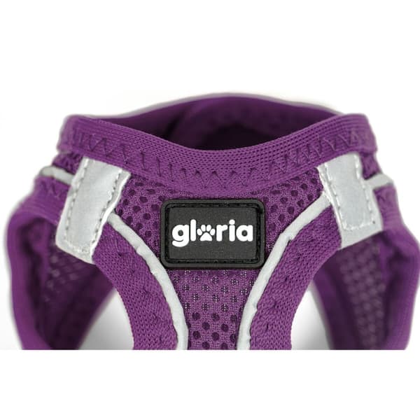 Koiran valjaat Gloria Trek Star 32,8-35,4 cm 45-47 cm Purppura M