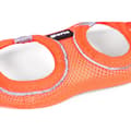 Pikkukuva 5 / 6: Koiran valjaat Gloria Trek Star 24-26 cm 28-28,6 cm Oranssi XXS