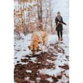 Miniatyrbild 3 av 3: Hundhalsband Hunter Convenience 53-61 cm L/XL Orange