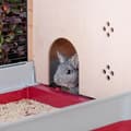Miniatyrbild 9 av 11: Bur Ferplast Krolik 140 Plus Metall Plast 142 x 50 x 60 cm