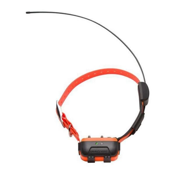 Koiran kaulapanta Num'Axes Canicom GPS GEO1047