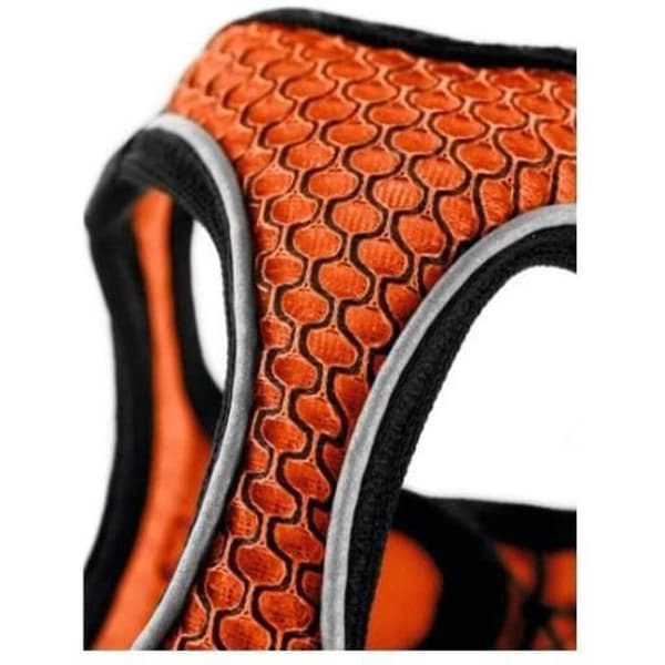 Hunter Comfort Sele Orange Sele | XS-S