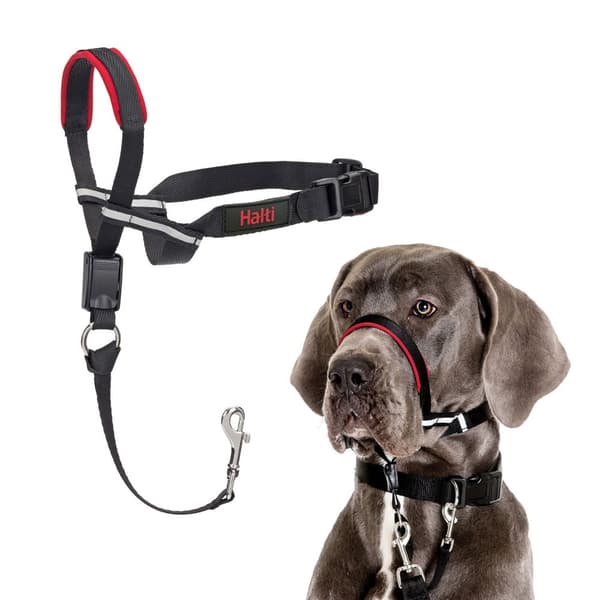 Halti Optifit Dog Head Collar