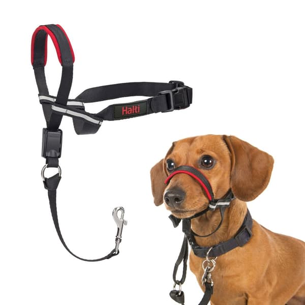 Halti Optifit Dog Head Collar