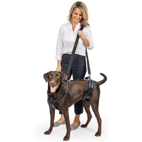 Petsafe CareLift ™ - Stödsele, medium