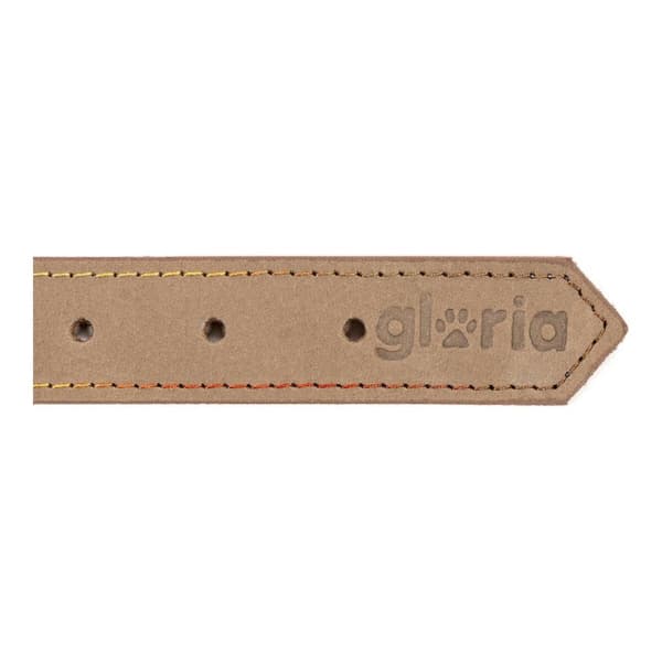 Hundehalsbånd Gloria Oasis Hvid (1,5 x 40 cm)