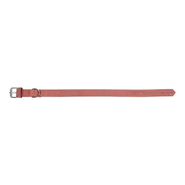 Hundehalsbånd Gloria Oasis Pink (50 x 2,1 cm)