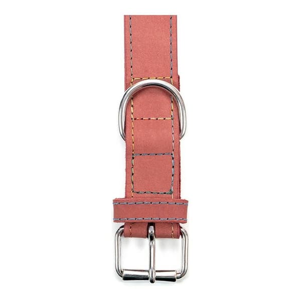 Hundehalsbånd Gloria Oasis Pink (50 x 2,1 cm)