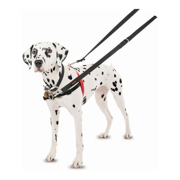 Hundesele Company of Animals Halti Sort/Rød L (80-120 cm)
