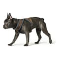 Miniatyrbillede 1 af 3: Hundesele Hunter London Comfort 52-62 cm Brun Størrelse S/M