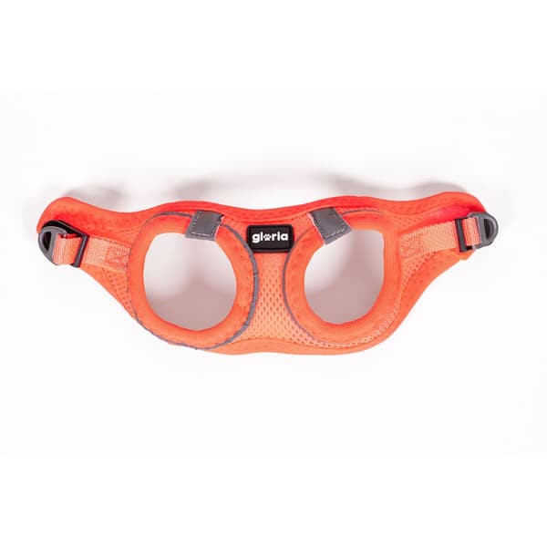 Hundesele Gloria Trek Star 29,4-32,6 cm 41,4-43 cm Orange S