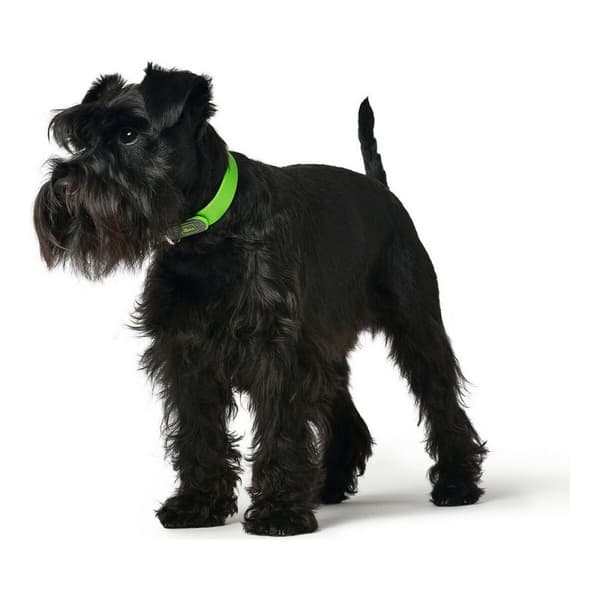 Hundhalsband Hunter Convenience Grön Storlek S/M (33-41 cm)