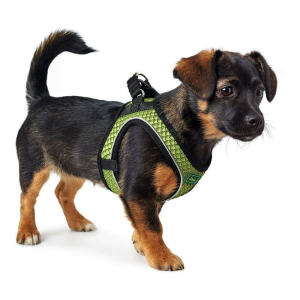 Hundsele Hunter Hilo-Comfort Lime Storlek XXS (26-30 cm)