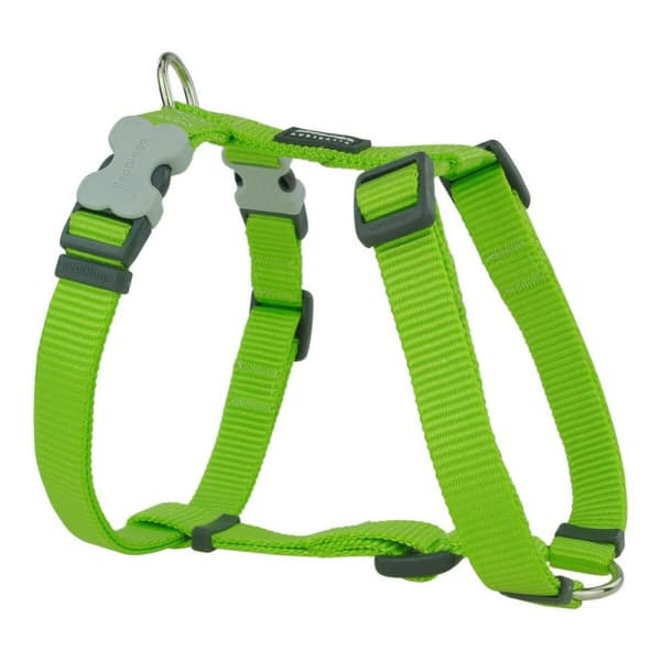 Hundsele Red Dingo Slät Lime