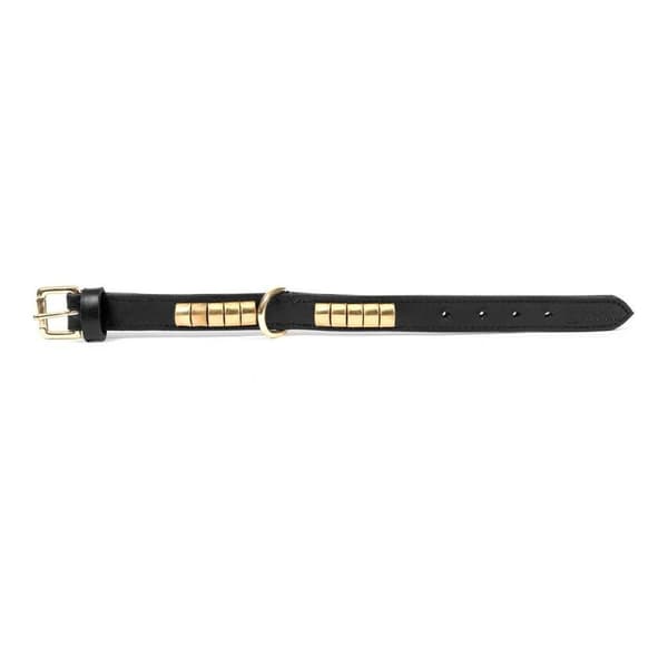 Hundhalsband Gloria Duna Svart Gyllene (40 x 2 cm)
