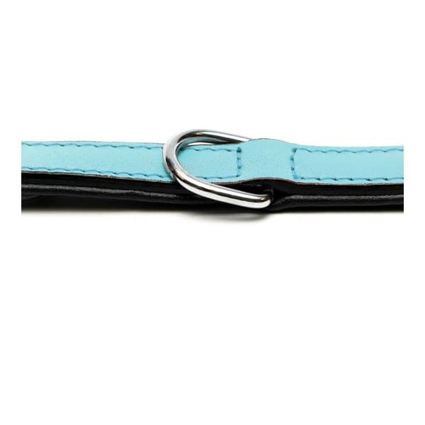 Hundhalsband Gloria Vadderad Blå (50 x 2,5 cm)