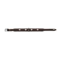 Miniatyrbild 5 av 5: Hundhalsband Hunter Swiss 35-43 cm