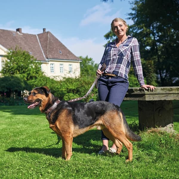 Hundhalsband Hunter Swiss Brun Svart M 55 cm