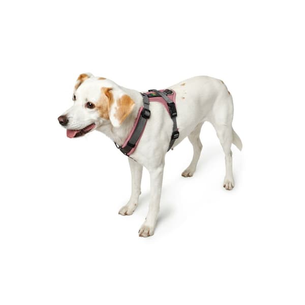 Hundesele Hunter Maldon Up Pink 57-98 cm