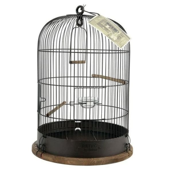 Fågelbur Zolux Retro Lisette Brons 38 cm