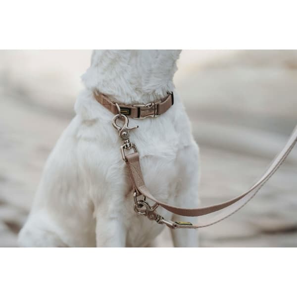 Hundhalsband Hunter Inari Beige XL 45-65 cm