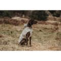 Miniatyrbild 4 av 6: Hundrock Hunter Milford Beige 25 cm