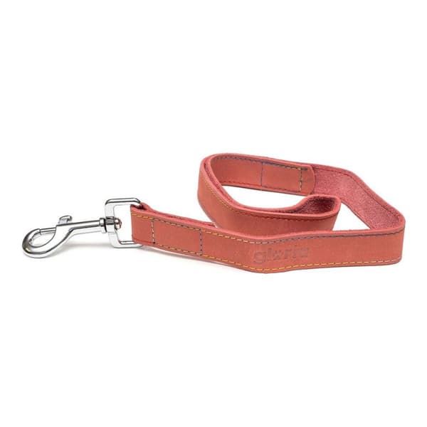 Hundeleder Gloria Oasis 2.1 x 100 cm Rosa