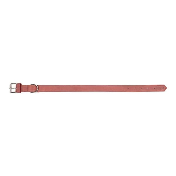 Hundehalsbånd Gloria Oasis Rosa (1,5 x 40 cm)
